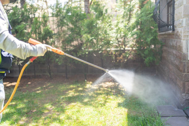 Best Organic or Eco-Friendly Pest Control  in North Hills, NY